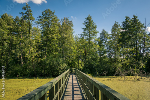 Obraz na płótnie Calowanie Swamp - wooden footbridge on the peatbog in the Masovian Landscape Park, Karczew, Poland w salonie