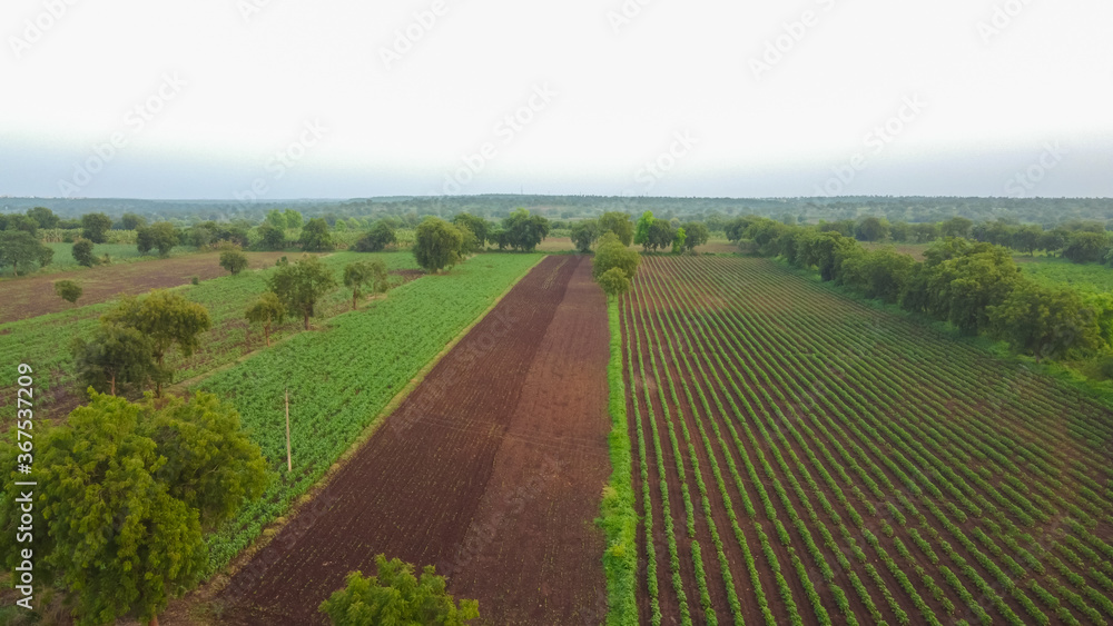 Aerial top view of agriculture field Aerial top view of agriculture field