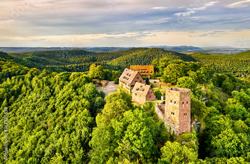 Castle of Hunebourg in the Vosges Mountains - Bas-Rhin, Alsace, France