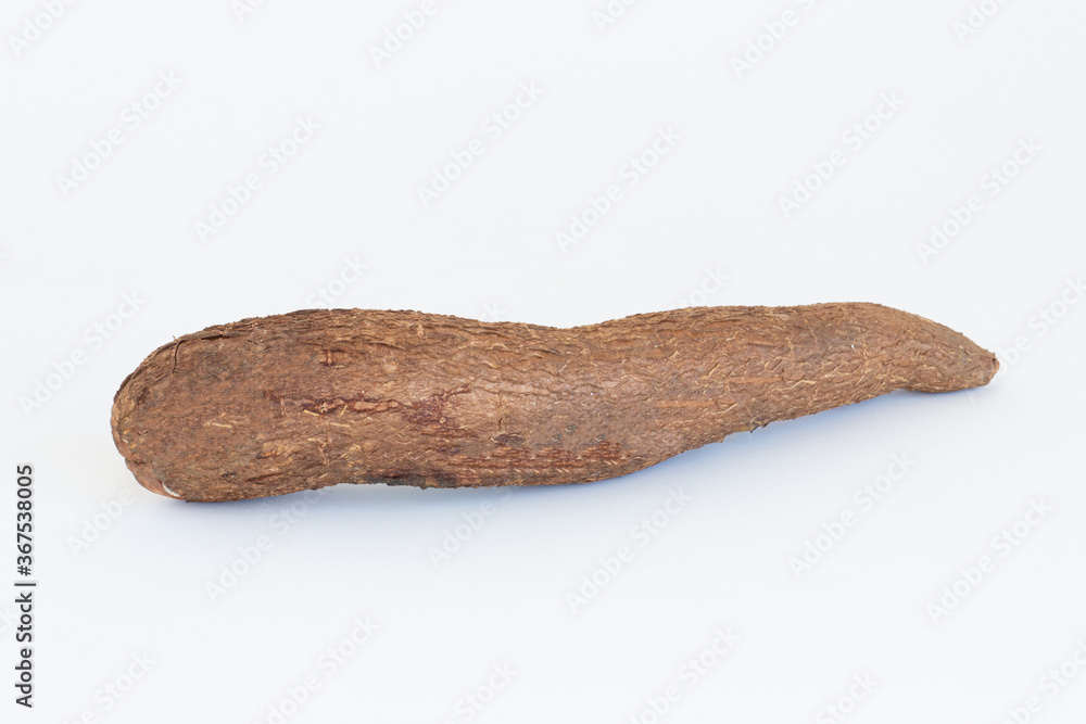 Fresh Cassava root isolated on a white background. Space for text. Fresh Cassava root isolated on a white background. Space for text.