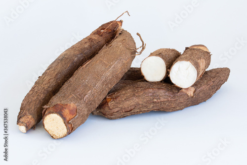 Fresh Cassava root isolated on a white background. Space copy.