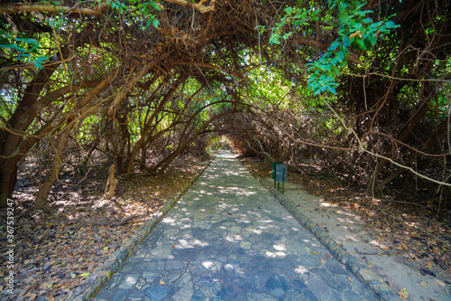 Zona arqueológica de Huatulco en el Parque Eco-Arqueológico de Copalita, Huatulco, Oaxaca photo