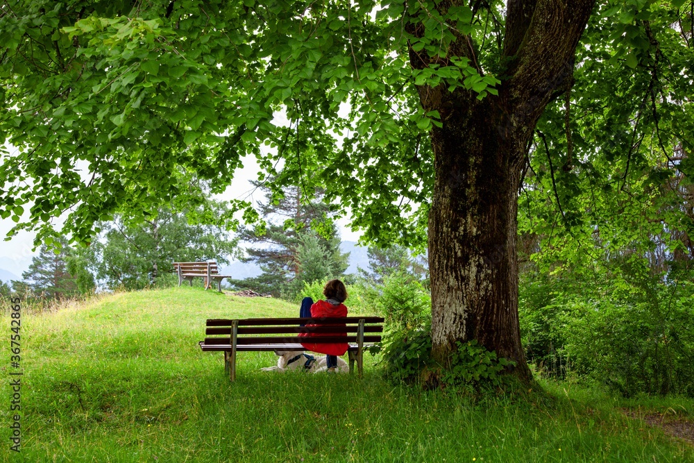 Obraz premium back view of relaxing woman sitting on a bench under the tree with her dog. resting, on hill near Grainau. Mountains (Waxenstein and Zugspitze peaks). Wetterstein range Alps Bayern Germany Europe