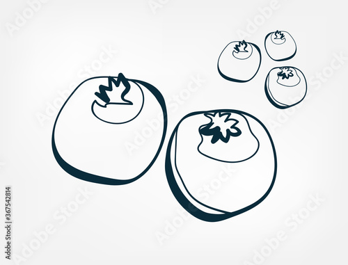 blueberry fruit vector one line art isolated illustration