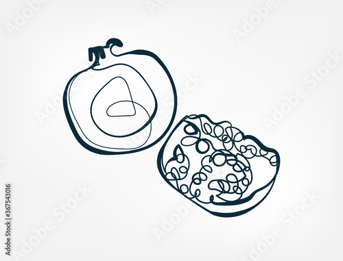 garnet fruit vector one line art isolated illustration