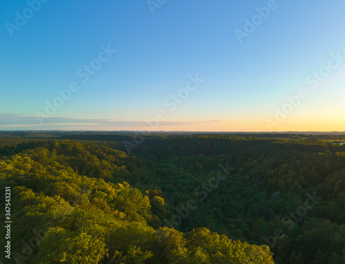 Areal evening forest landscape