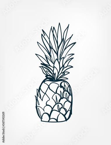 pineapple fruit vector one line art isolated illustration