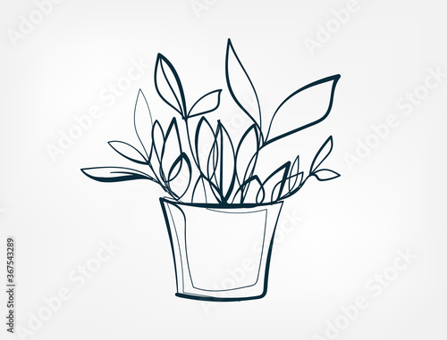 indoor plant vector one line art isolated illustration