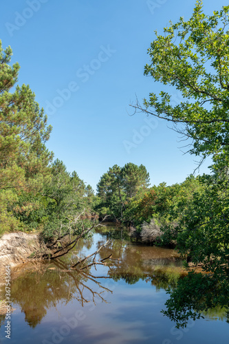 LEGE-CAP FERRET  Bassin d Arcachon  France   le canal des   tangs