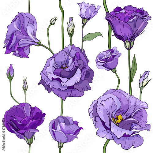 Seamless floral decorative pattern with violet flowers and buds. Eustoma, Lisiantus, Texas bluebell, Prairie tulip gentian. Endless spring texture for your design, fabrics, decor.