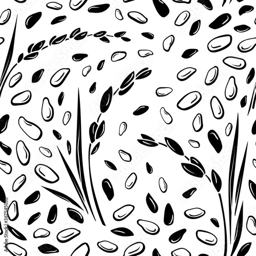 Rice plant, grain. Vector seamless pattern. Doodle