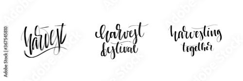 Vector set of isolated handwritten calligraphy logo of Harvest for decoration and covering on the white background. Concept of happy harvest season and festival.