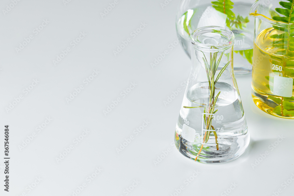 Plants in laboratory glassware. Skincare products and drugs chemical researches concept - obrazy, fototapety, plakaty 