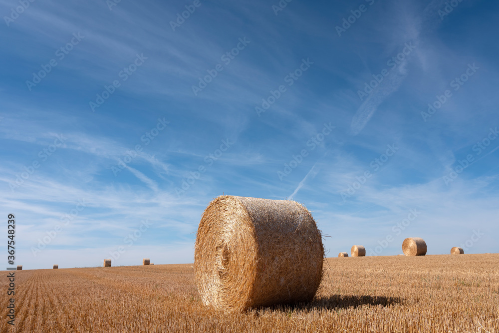 golden field with straw bales under blue sky in the north of france