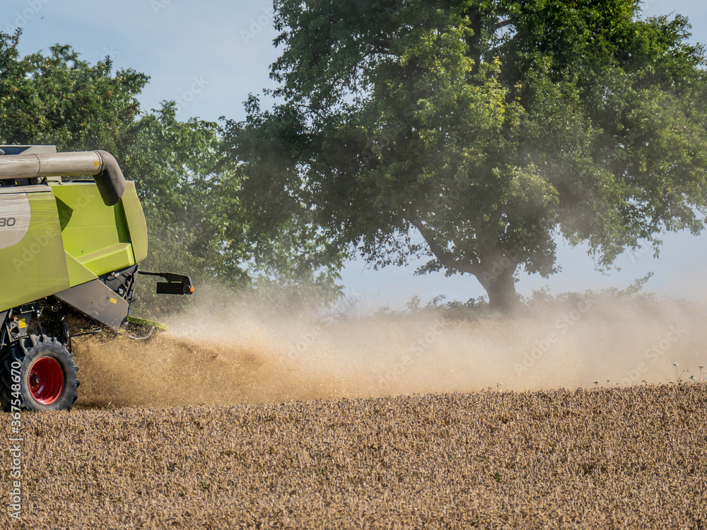 Obraz premium Mähdrescher bei der Ernte auf dem Feld