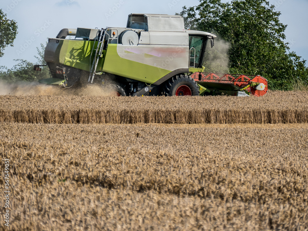Fototapeta premium Mähdrescher bei der Ernte auf dem Feld