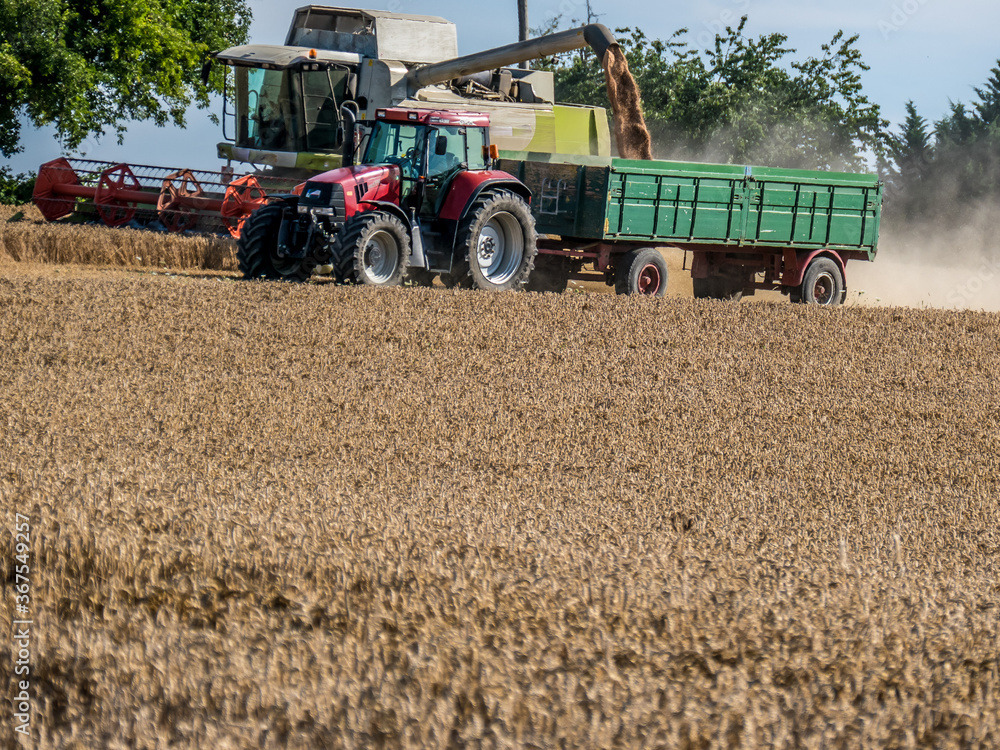 Obraz premium Mähdrescher bei der Ernte auf dem Feld