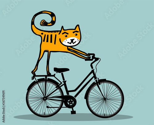 Funny cat on bicycle