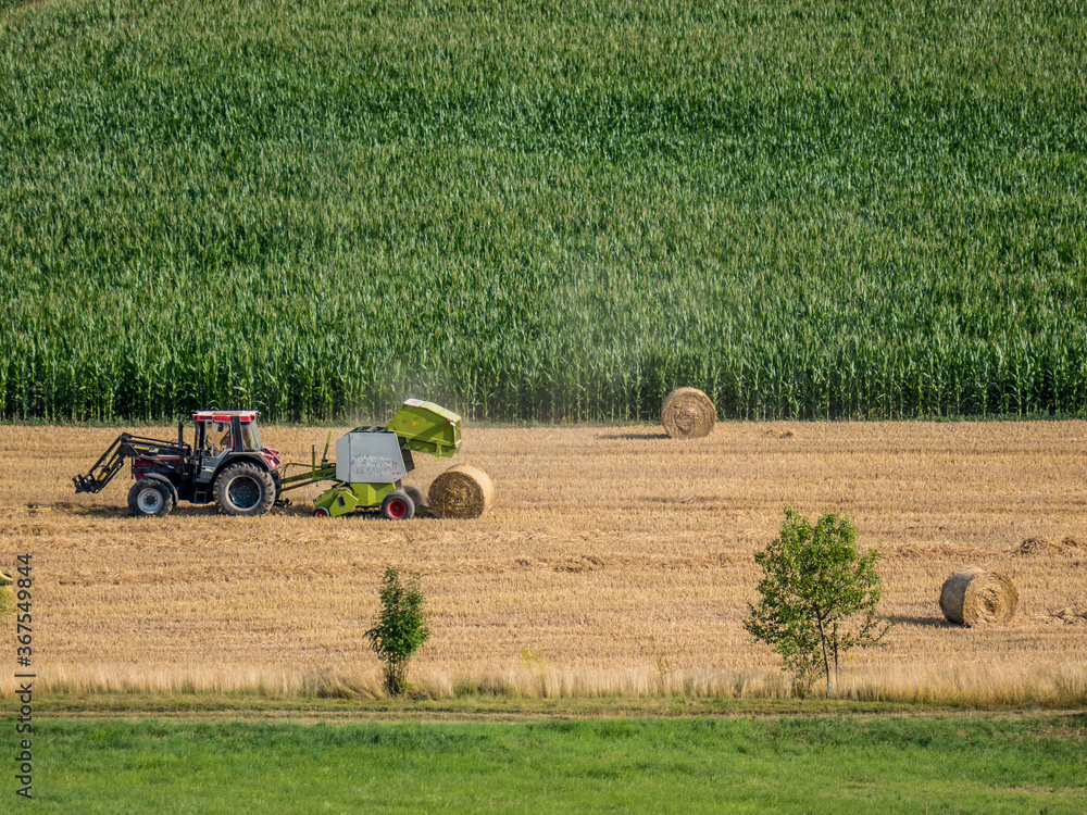 Obraz premium Strohballen Herstellung auf dem Stoppelfeld