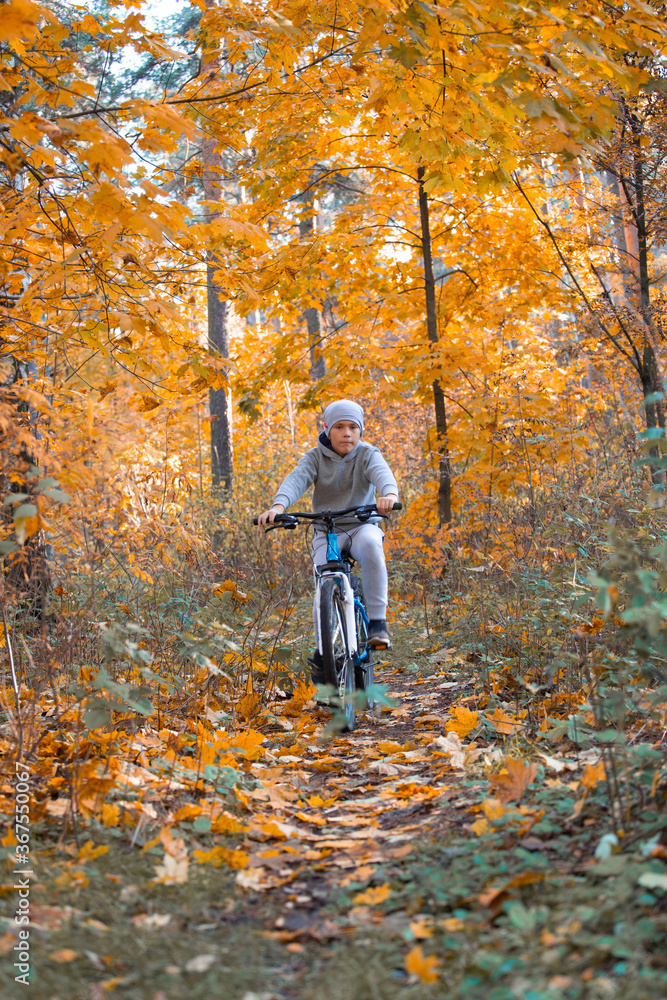 Boy riding bicycle in autumn park