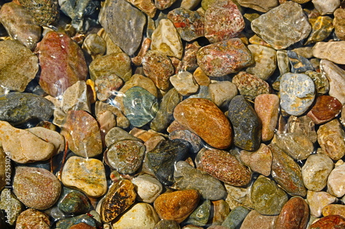 fondo naturaleza con piedras de rio 