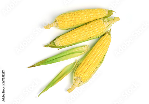 Fresh corn on white isolate background with clipping path.