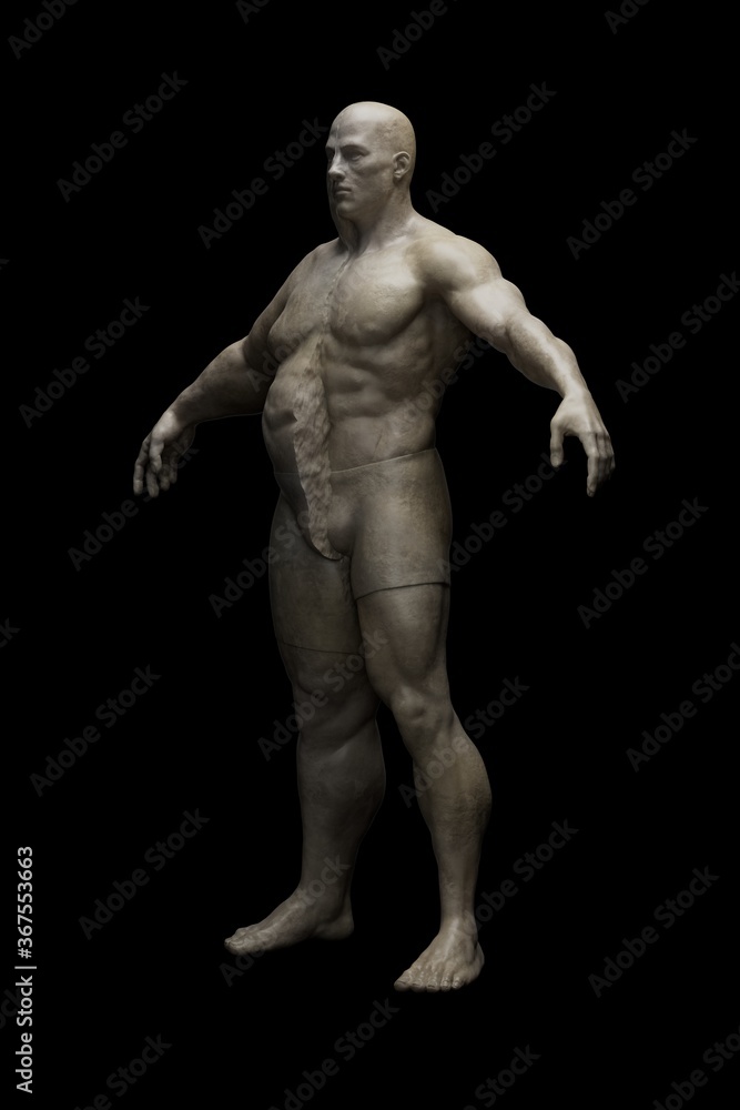 Fat loss process. Divided Half fat half muscular male figure. Before and after results of weight loss, diet and exercise. Plastic surgery and liposuction. 3D illustration Fat loss process. Divided Half fat half muscular male figure. Before and after results of weight loss, diet and exercise. Plastic surgery and liposuction. 3D illustration