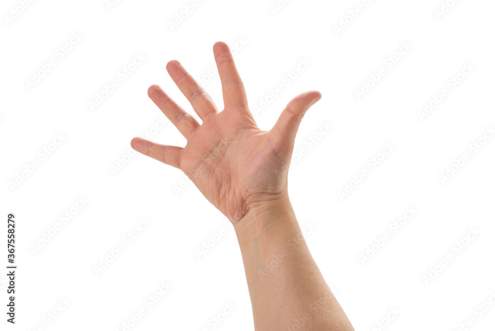 Man hand showing five fingers isolated on white background. Man hand showing five fingers isolated on white background.