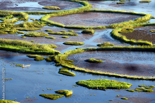 Photography lake and pattern at manipur india