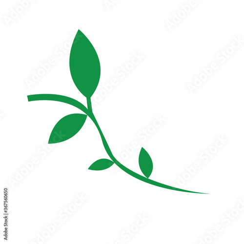 Climbing plant icon. Decorative garden - Vector illustration