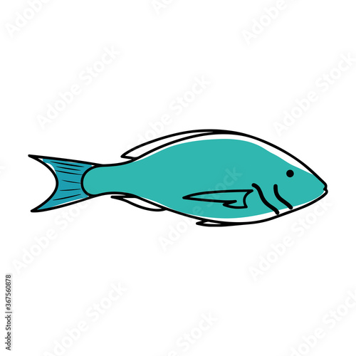 Sketch of a blue fish icon. Animal icon. Healthy food - Vector