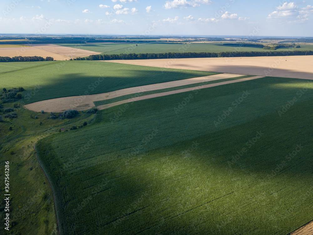 Aerial drone view. Ripe fields of corn and wheat in Ukraine.