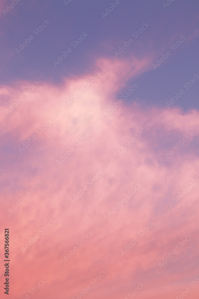 pastel blue and pink fluffy clouds background