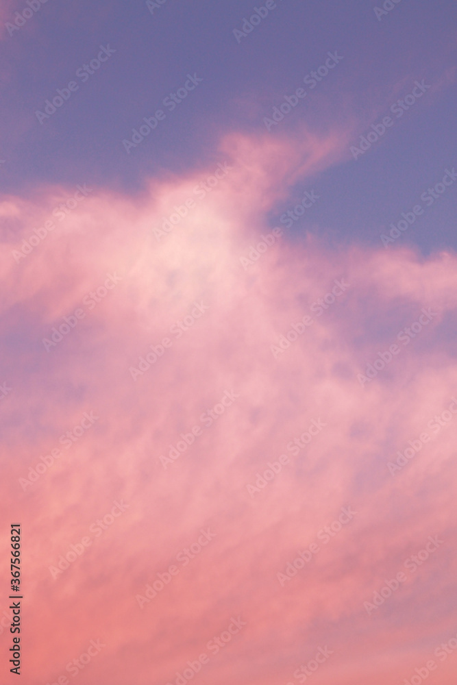 Fototapeta premium pastel blue and pink fluffy clouds background
