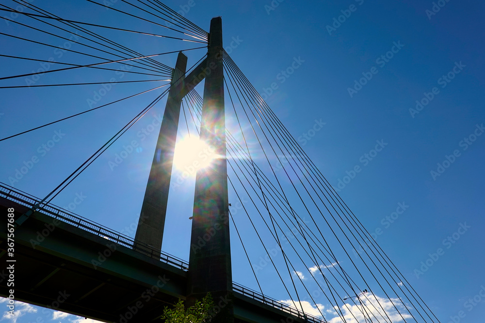 Fototapeta premium Cable-stayed bridge detail in backlit.