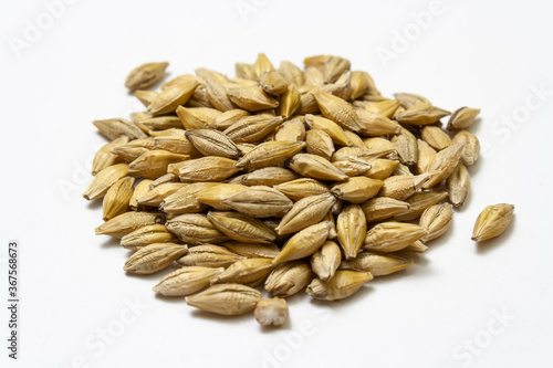 Barley malt on a white background. Big heap of cereal grains isolated close up. Seeds of barley, wheat, oats, rye, triticale macro shooting. Natural dry grain in the center of the image