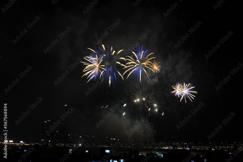 Beautiful scenery of fireworks in the dark night sky at Seoul International Fireworks Festival Beautiful scenery of fireworks in the dark night sky at Seoul International Fireworks Festival