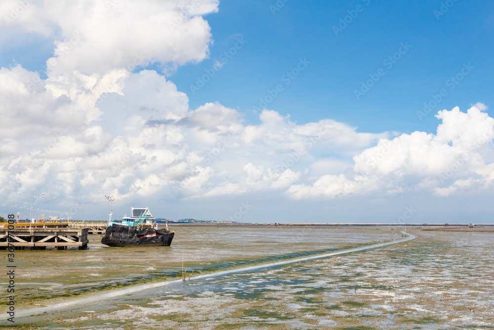 the mangrove forest with blue sky with cloud. the mangrove forest with blue sky with cloud.