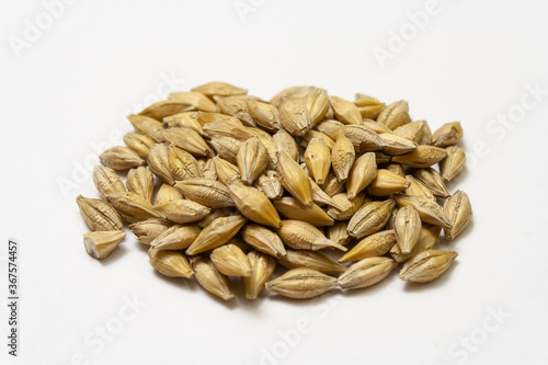 Barley malt on a white background. Heap of cereal grains isolated close up. Seeds of barley, wheat, oats, rye, triticale macro shooting. Natural dry grain in the center of the image