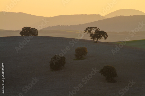 Dehesa al atardecer otoñal