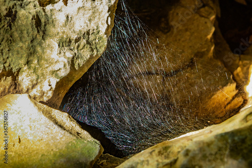 Cueva de Zugarramurdi photo