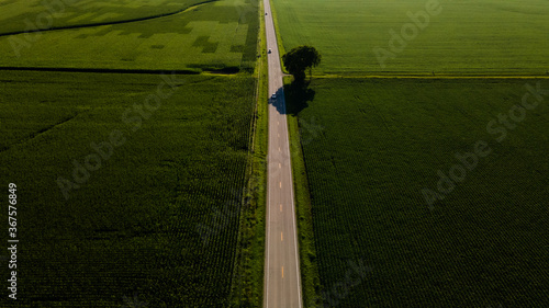 illinois kentucky ohio landscape corn fields and roads