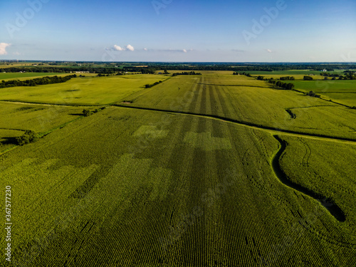 illinois kentucky ohio landscape corn fields and roads