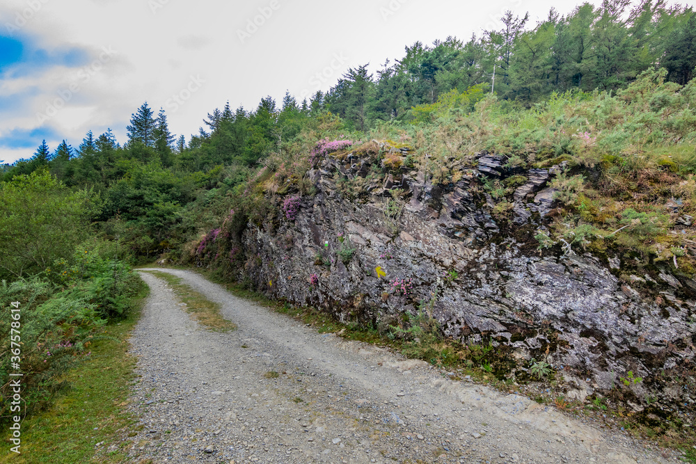 Zonas verdes, naturaleza del entorno de Zugarramurdi y Urdazubi Zonas verdes, naturaleza del entorno de Zugarramurdi y Urdazubi