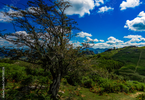 Zonas verdes, naturaleza del entorno de Zugarramurdi y Urdazubi