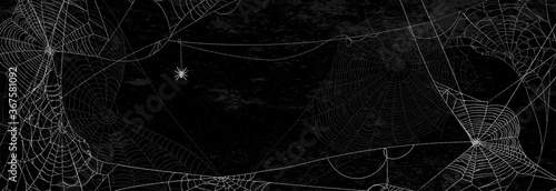 Spider webs on black wall - halloween banner with spider on dark background.