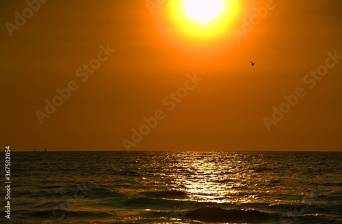 Evening, Golden sunset on the black sea