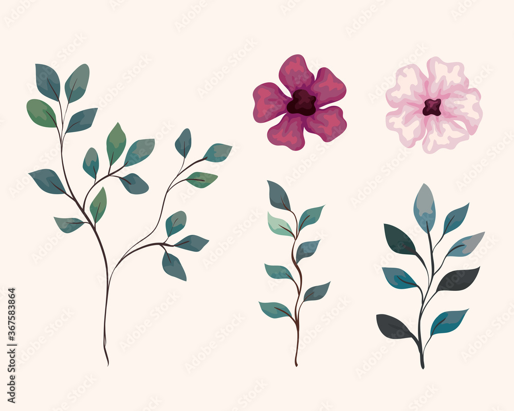 set of branches with leaves and cute flowers vector illustration design