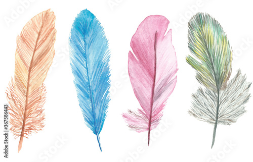Watercolor hand painted nature romantic fluffy bird wing set with different yellow gold, blue, pink and green boho feathers collection isolated on the white background for design elements