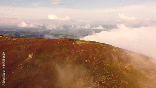 Carpathians in summer. Beautiful landscape of summer mountains. Aerial view